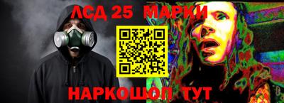 ешки Гай