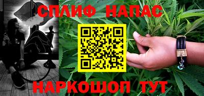 ешки Гай