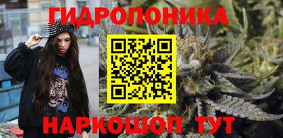 ешки Гай