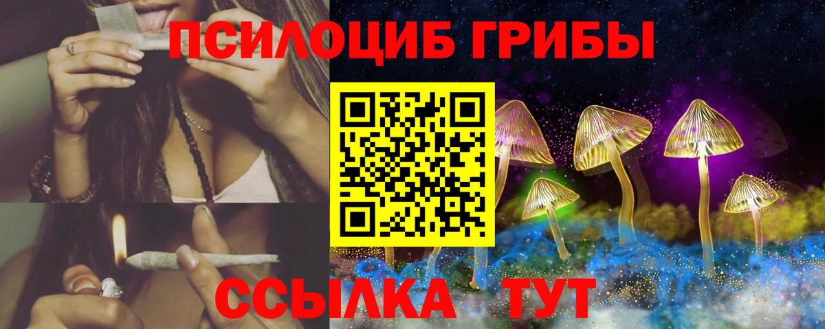 Псилоцибиновые грибы GOLDEN TEACHER Бердск