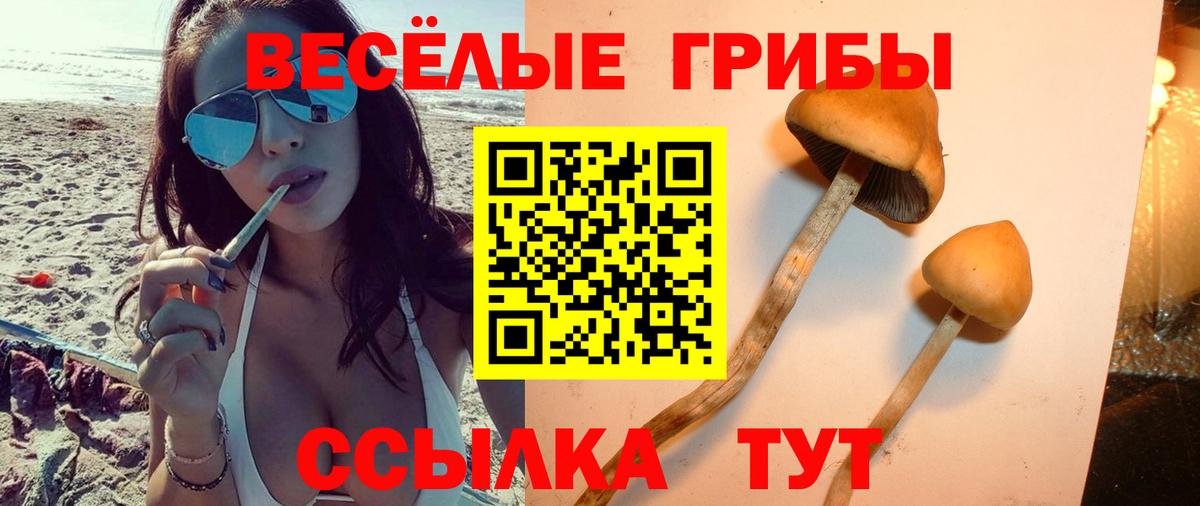 Галлюциногенные грибы ЛСД  купить  цена  Бердск  Вход с VPN 